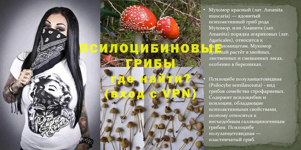 тгк Гусиноозёрск