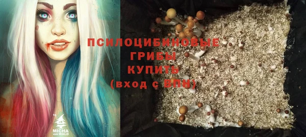 прущий лед Гусев
