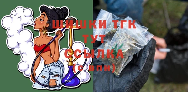 прущий лед Гусев