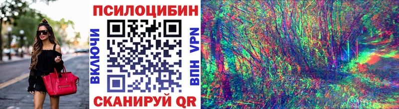 Галлюциногенные грибы Psilocybine cubensis  Чухлома 